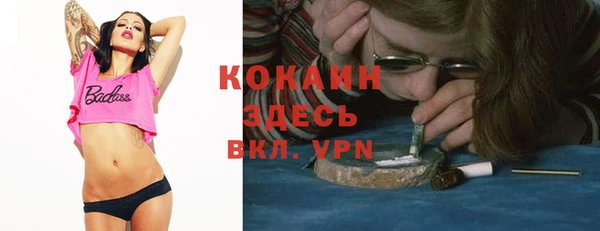 тгк Арсеньев