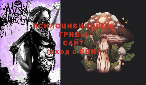 тгк Арсеньев