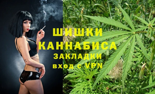 крисы Аркадак