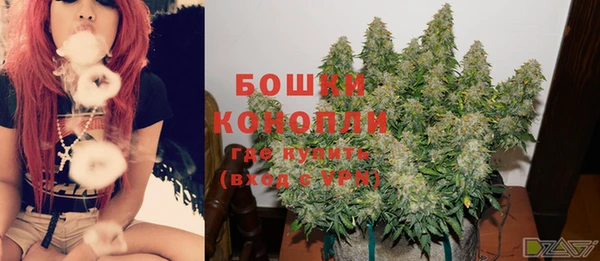 крисы Аркадак
